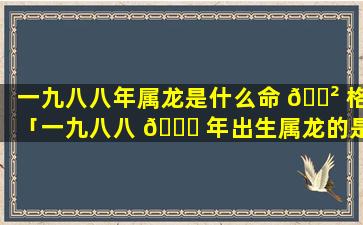 一九八八年属龙是什么命 🌲 格「一九八八 🐕 年出生属龙的是什么命」